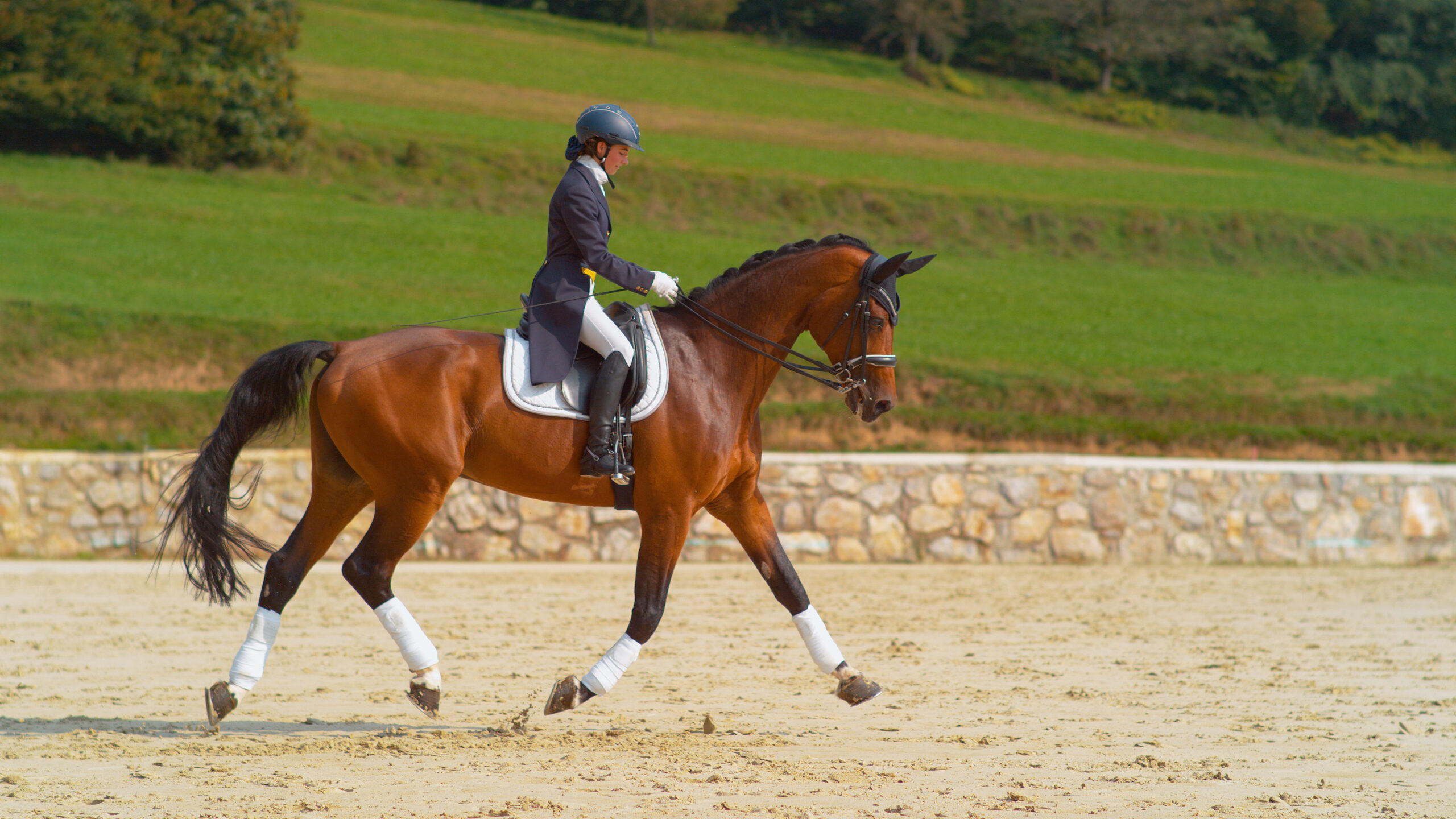 From Saddle to Street: How Equestrian Apparel Became Everyday Fashion