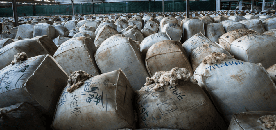 Journey of a Wool Bale