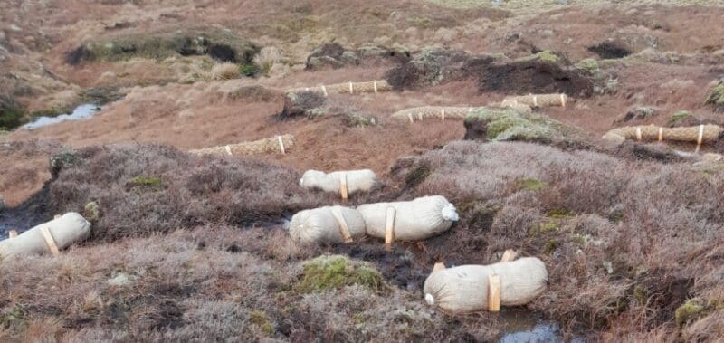 Peatland Restoration and Wool: A Natural Partnership for Sustainable Landscapes