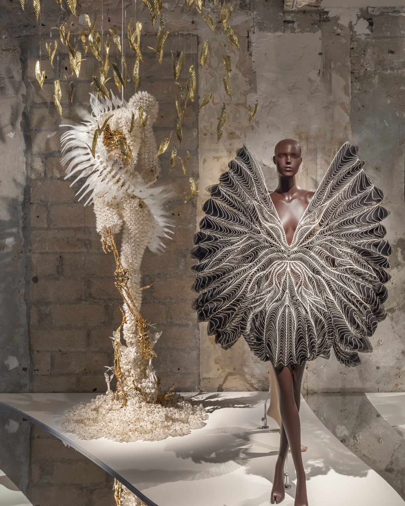 A mannequin wearing a translucent blue and clear Iris van Herpen garment with layered circular forms, displayed beside framed jellyfish drawings on a textured museum wall.