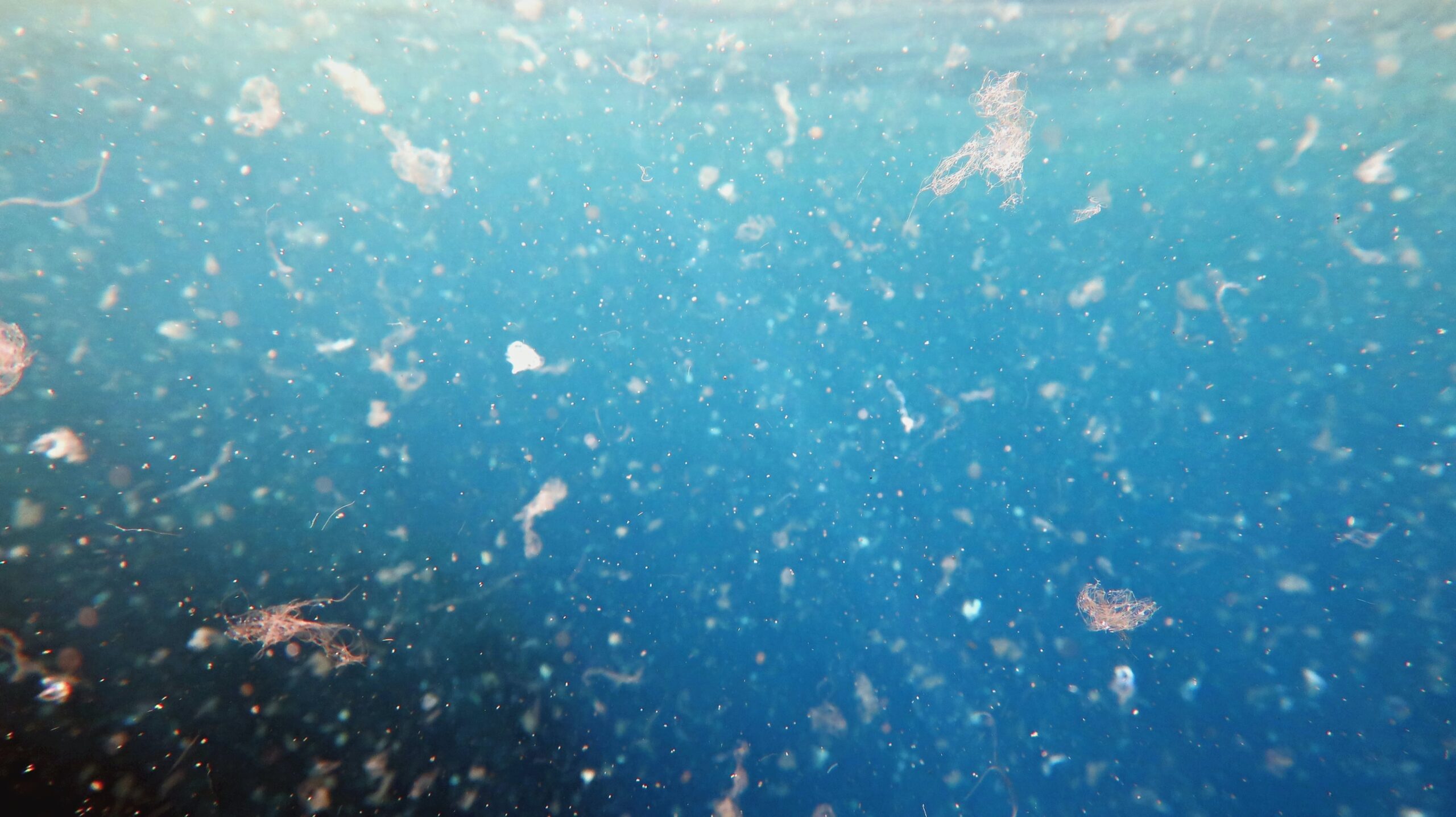 Nike, Patagonia and Lululemon Join Group Battling Microfibre Pollution